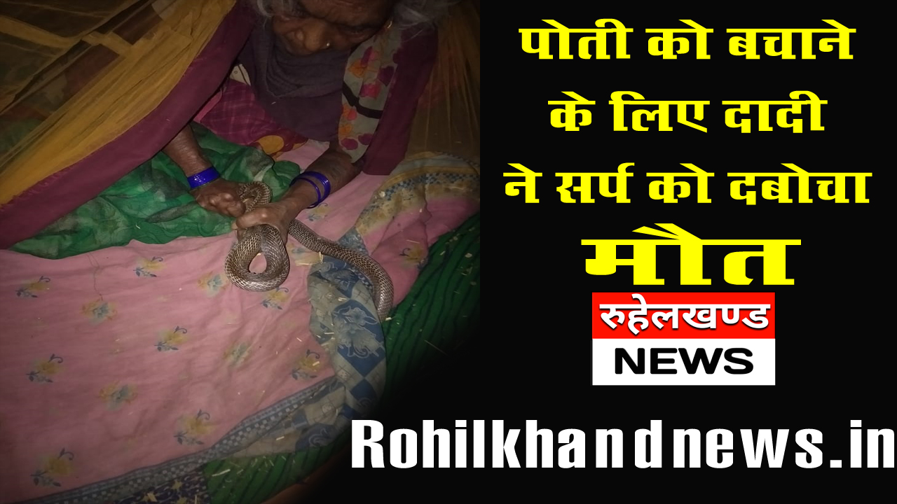 पोती को बचाने के लिए दादी ने सर्प को दबोचा मौत।